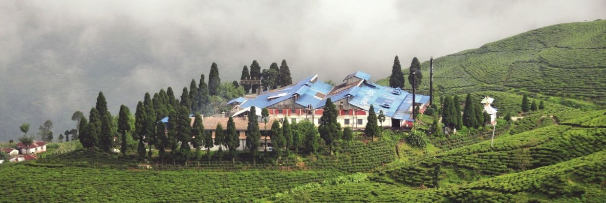 Buddha Air Chandragadi Office in Nepal