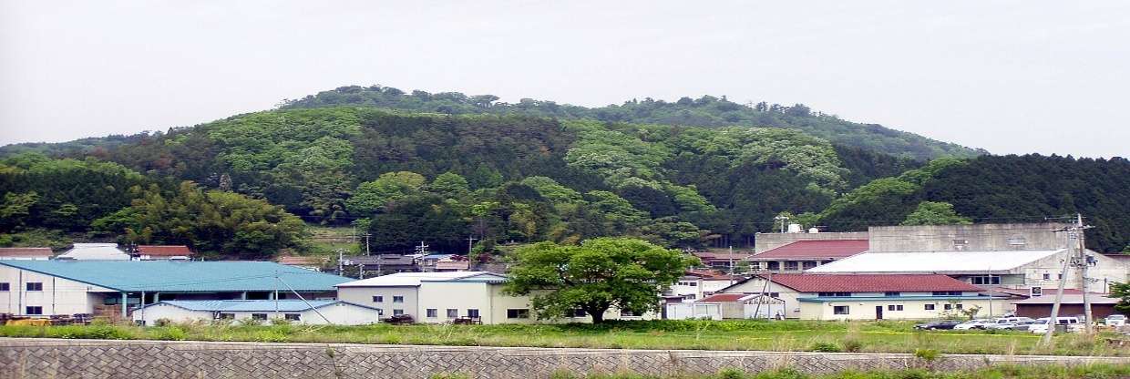 All Nippon Airways Ōnan Office in Japan