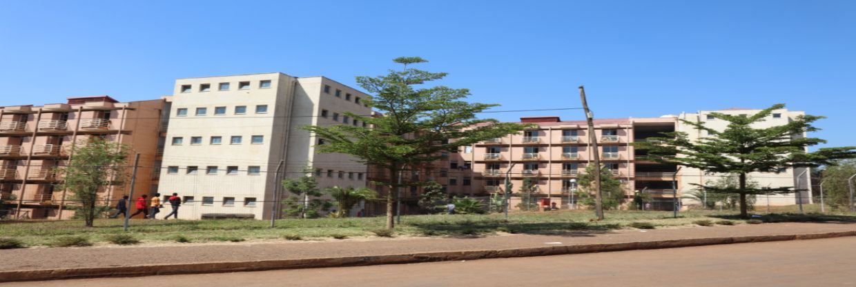 Ethiopian Airlines Jimma Office in Ethiopia