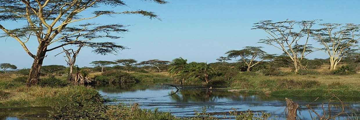 Precision Air Seronera Office in Tanzania
