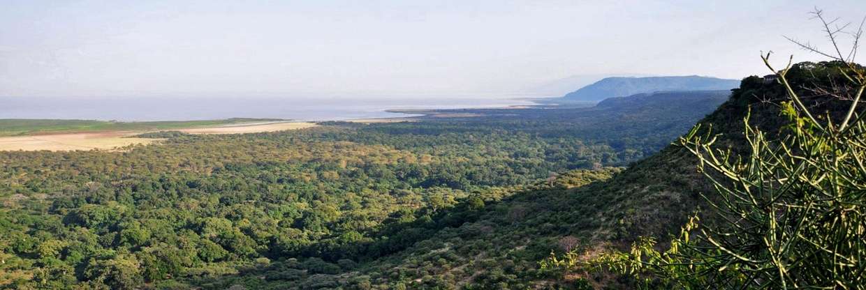 Auric Air Lake Manyara Office in Tanzania