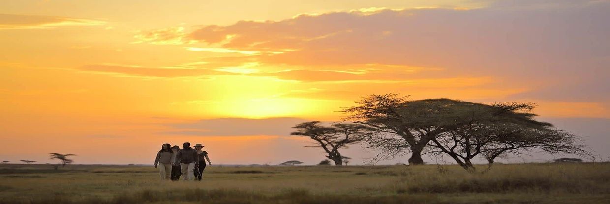 Auric Air Serengeti National Park Office in Tanzania