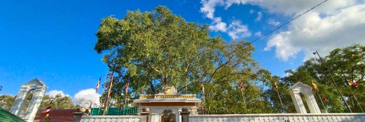 FitsAir Anuradhapura Office in Sri Lanka