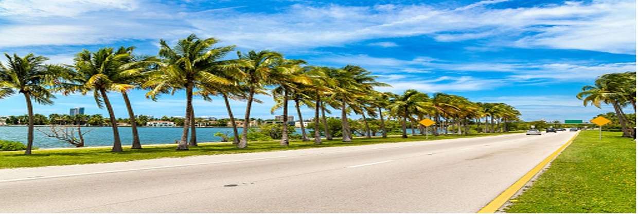 Avelo Airlines Sunshine Office in Florida