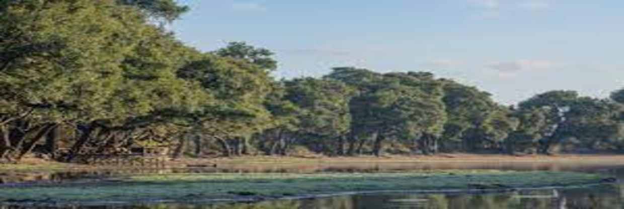Wilderness Air South Luangwa Office in Zambia